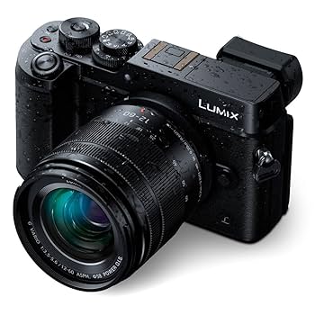 Panasonic LUMIX GH5本体＆標準ズームレンズ（12-60mm） ipcdcgh5km2__63844.1708530108.